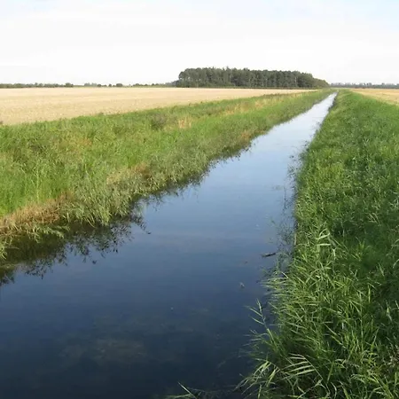 6 Person In Dannemare-by Traum Dannemare